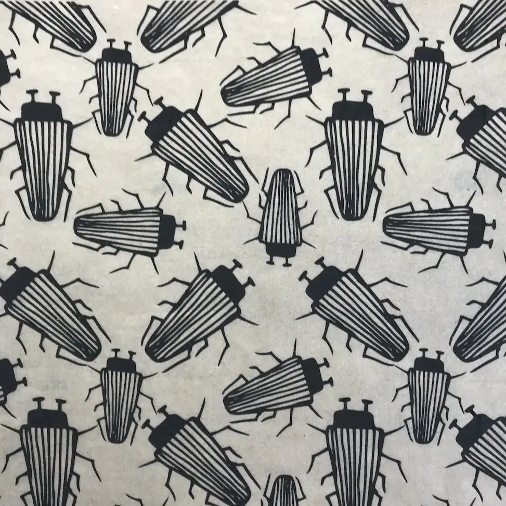 Elan Pottery Transfers Beetles Underglaze Transfer - Black