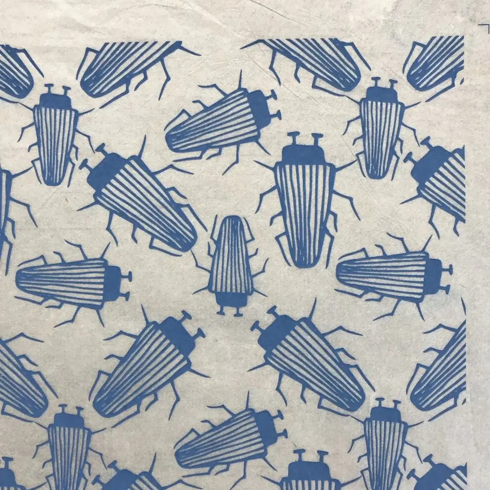 Elan Pottery Transfers Beetles Underglaze Transfer - Blue