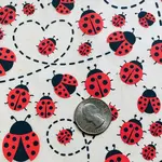 Elan Pottery Transfers Lady Bugs Underglaze Transfer - Multi