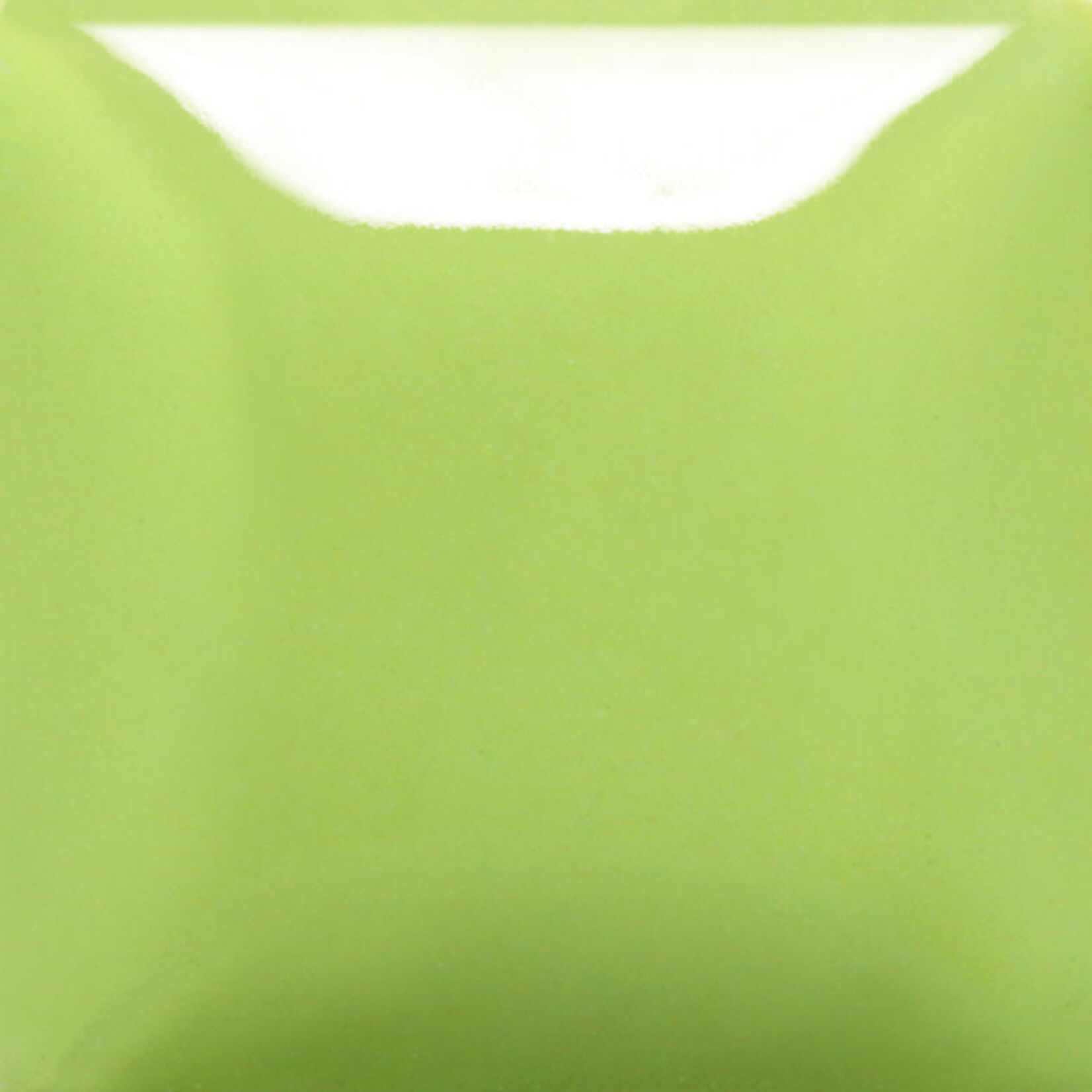 COLORAMICS, LLC MAYCO SC-98 SLIME TIME PT
