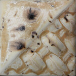 COLORAMICS, LLC SW-176 SANDSTONE