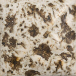 COLORAMICS, LLC SW-155 WINTER WOOD