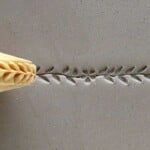 MKM POTTERY TOOLS MKM FINGER ROLLER FR-010 - Vine with Leaves and Flowers