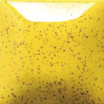 COLORAMICS, LLC SP-206 SPECKLED SUNKISSED