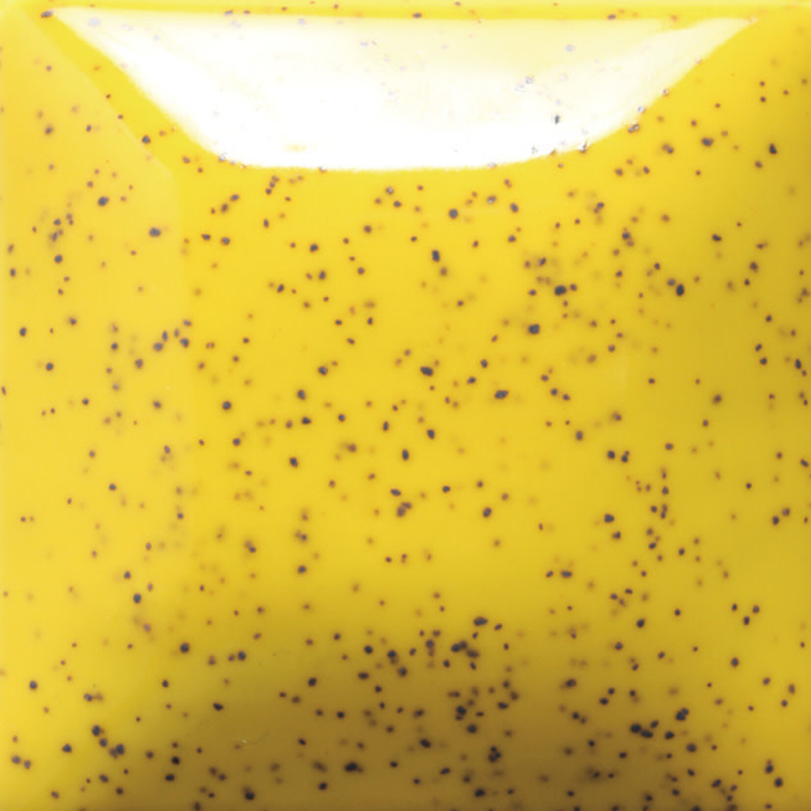COLORAMICS, LLC MAYCO SP-206 SPECKLED SUNKISSED PT