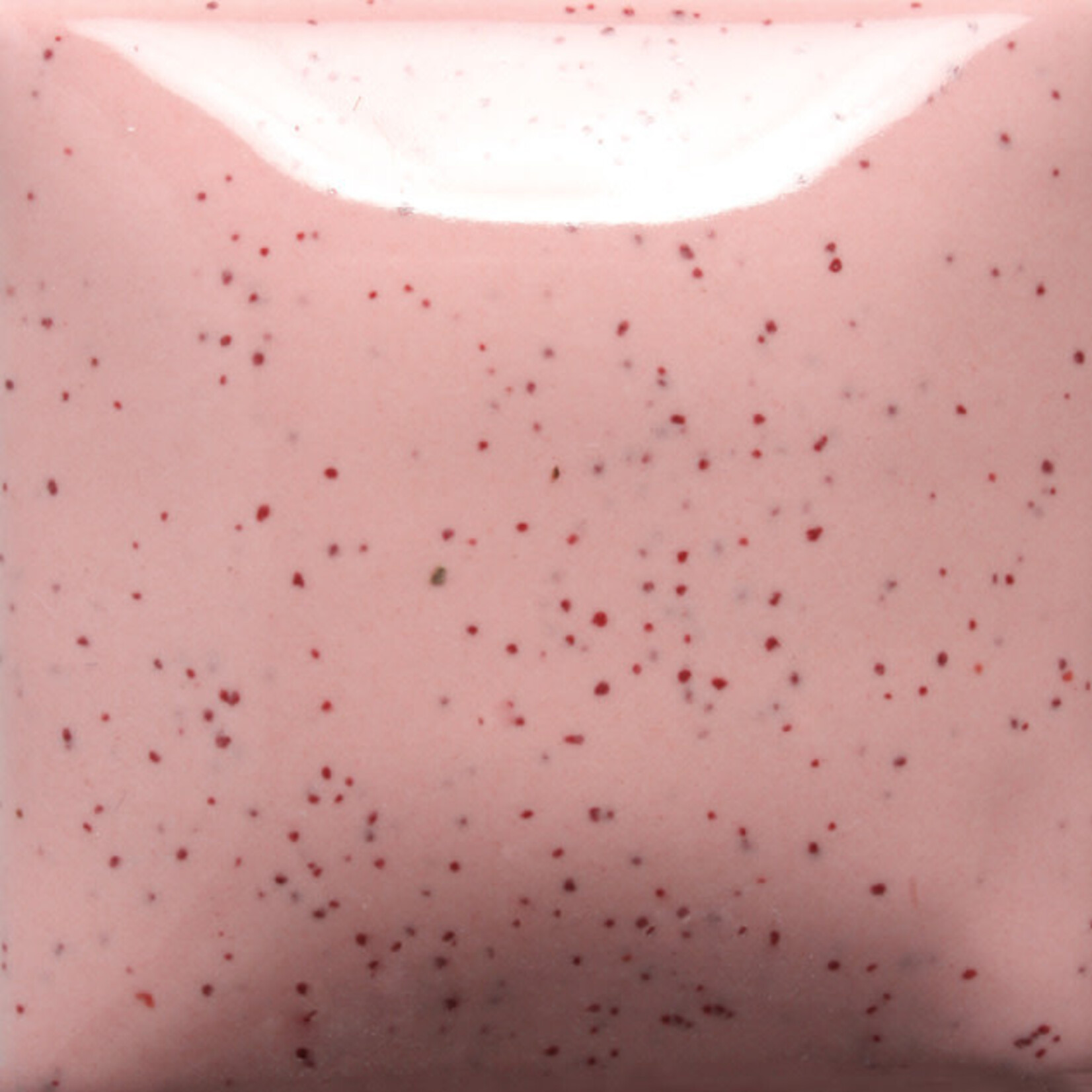 COLORAMICS, LLC MAYCO SP-201 SPECKLED PINK-A-BOO PT