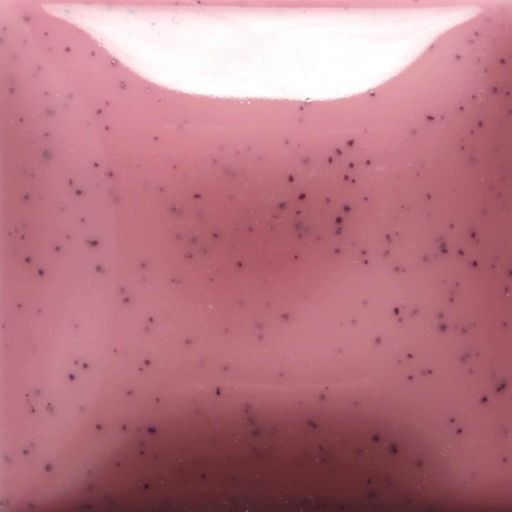 COLORAMICS, LLC MAYCO SP-270 SPECKLED PINK-A-DOT PT