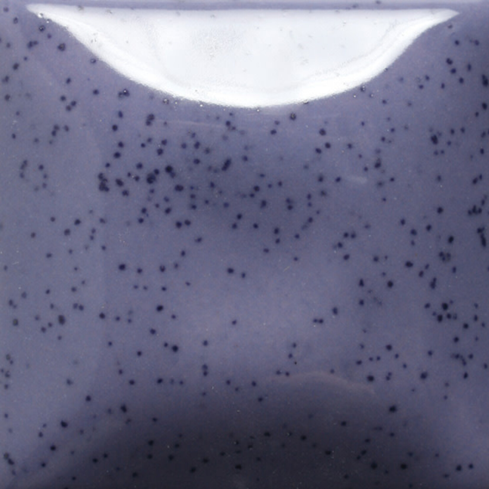 COLORAMICS, LLC MAYCO SP-253 SPECKLED PURPLE HAZE PT