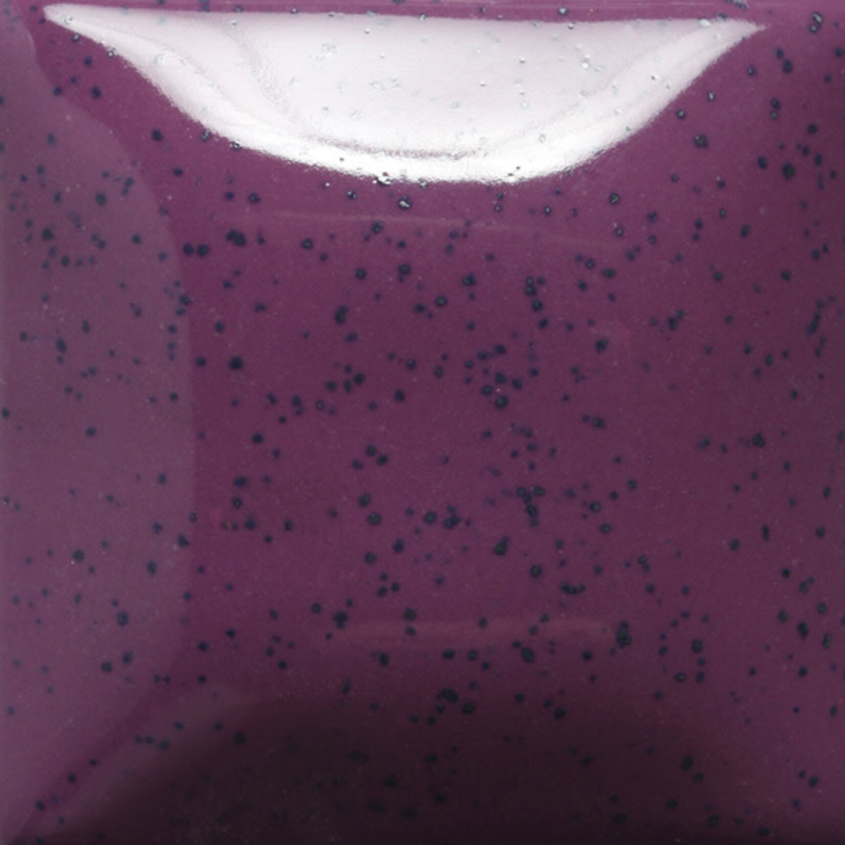 COLORAMICS, LLC MAYCO SP-213 SPECKLED GRAPEL PT