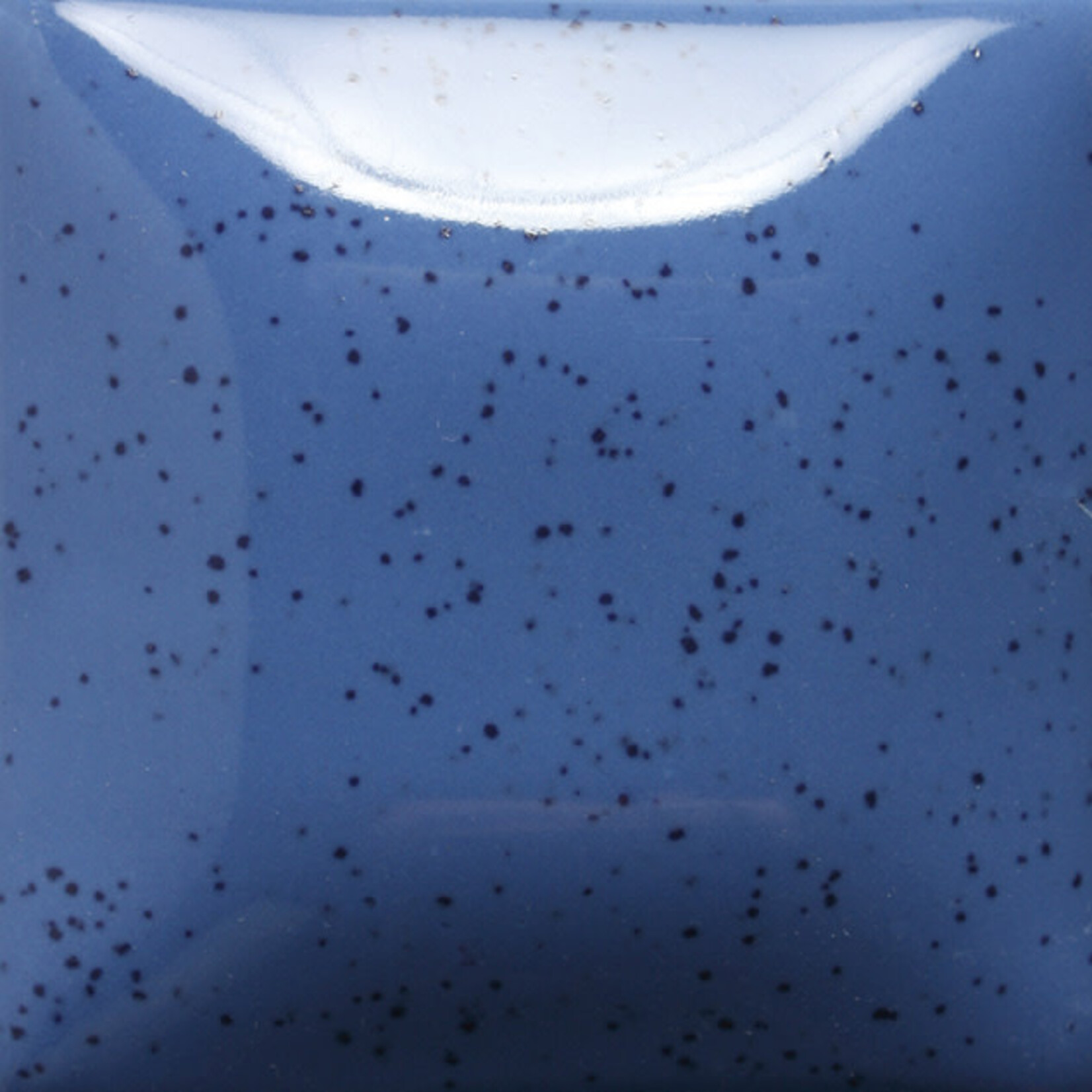 COLORAMICS, LLC MAYCO SP-231 SPECKLED THE BLUES PT
