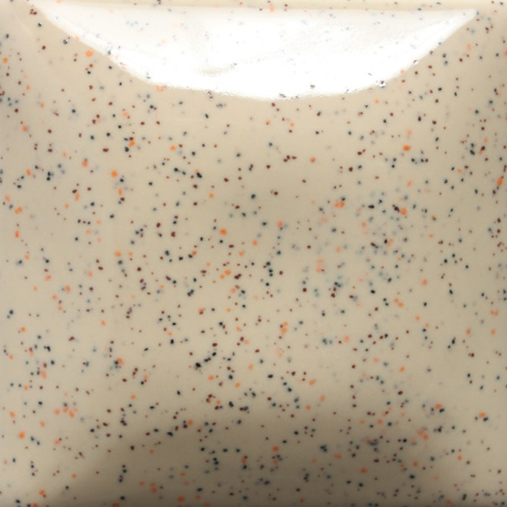 COLORAMICS, LLC MAYCO SP-254 SPECKLED VANILLA DIP PT
