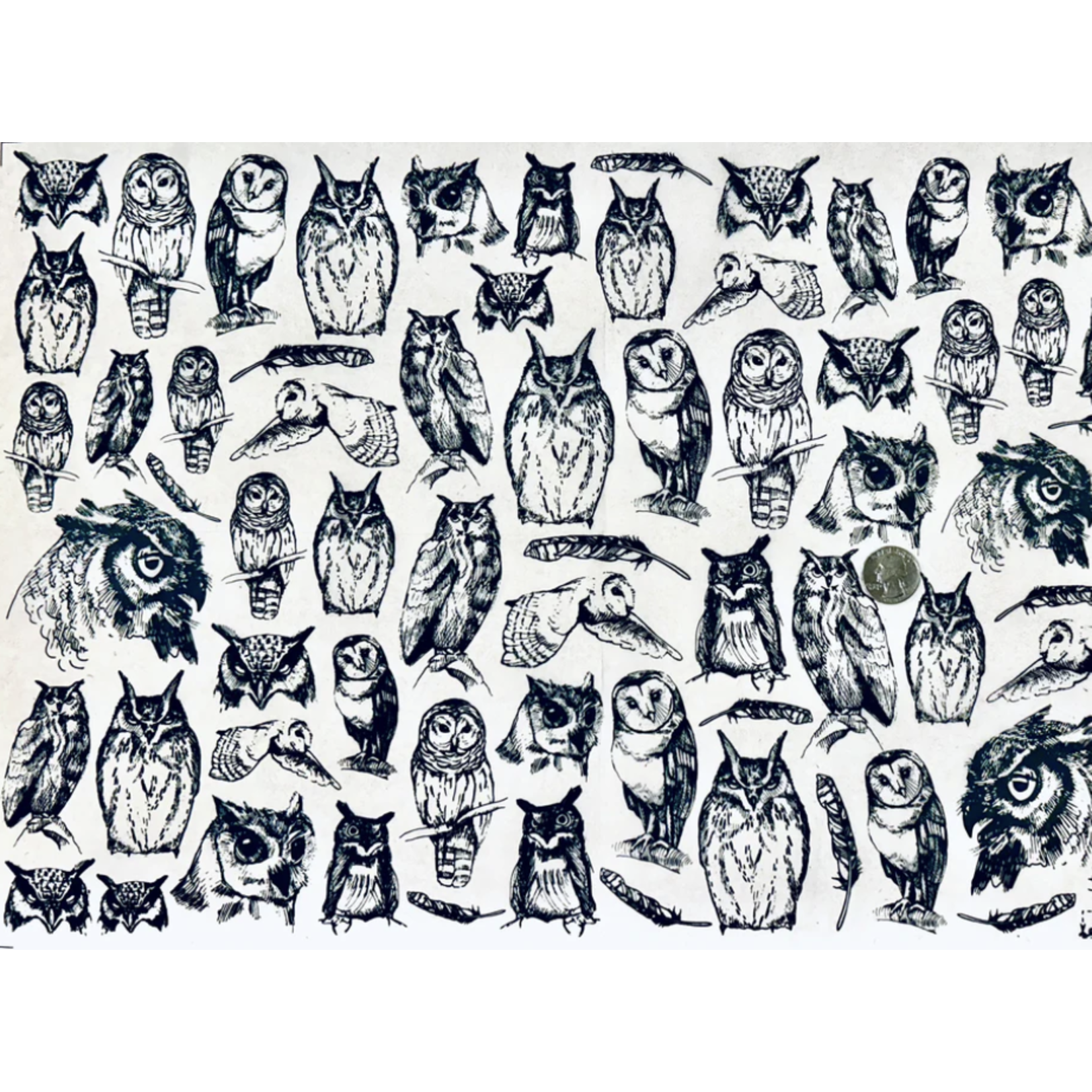 Elan Pottery Transfers Owls Underglaze Transfer - Black