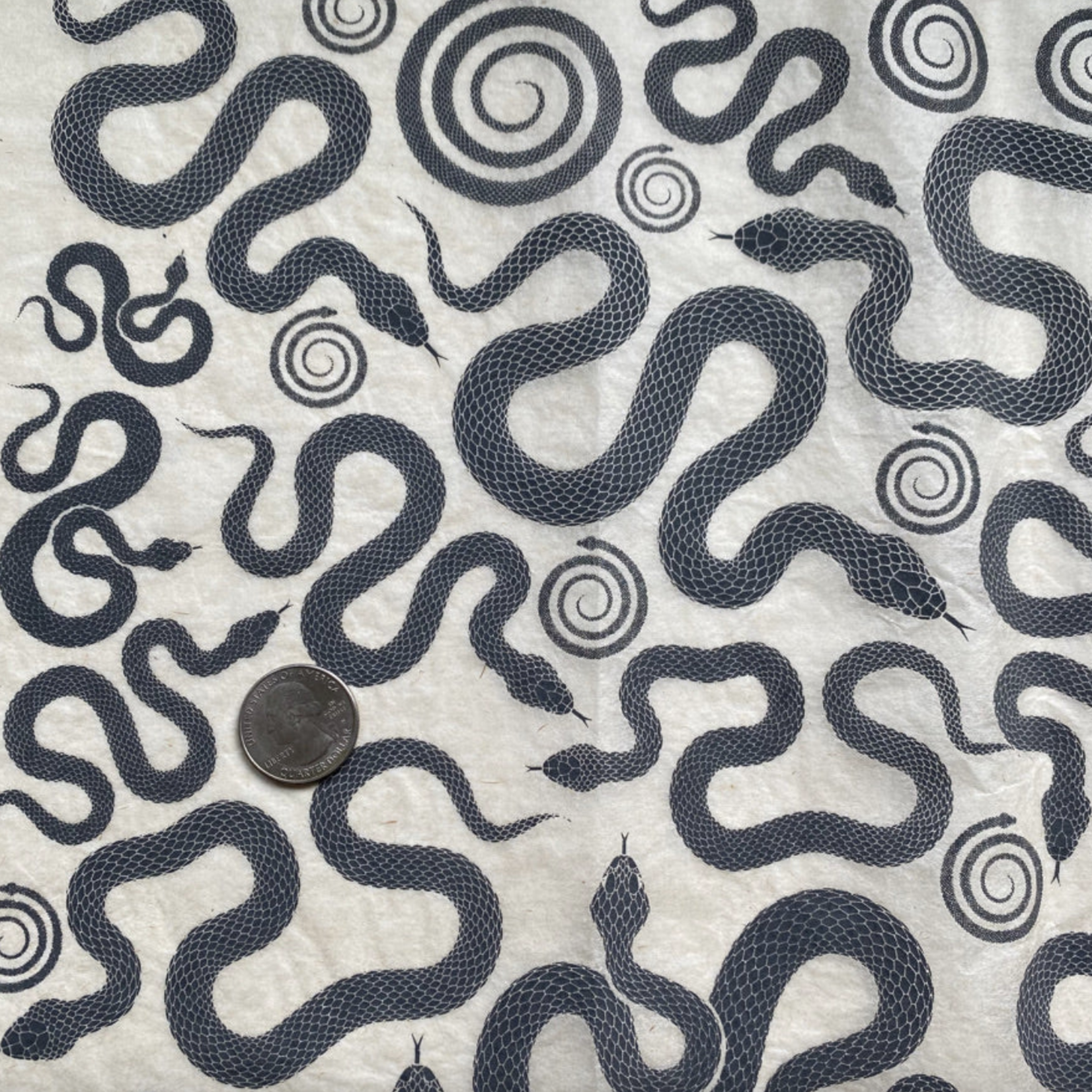 Elan Pottery Transfers Snakes Underglaze Transfer - Black