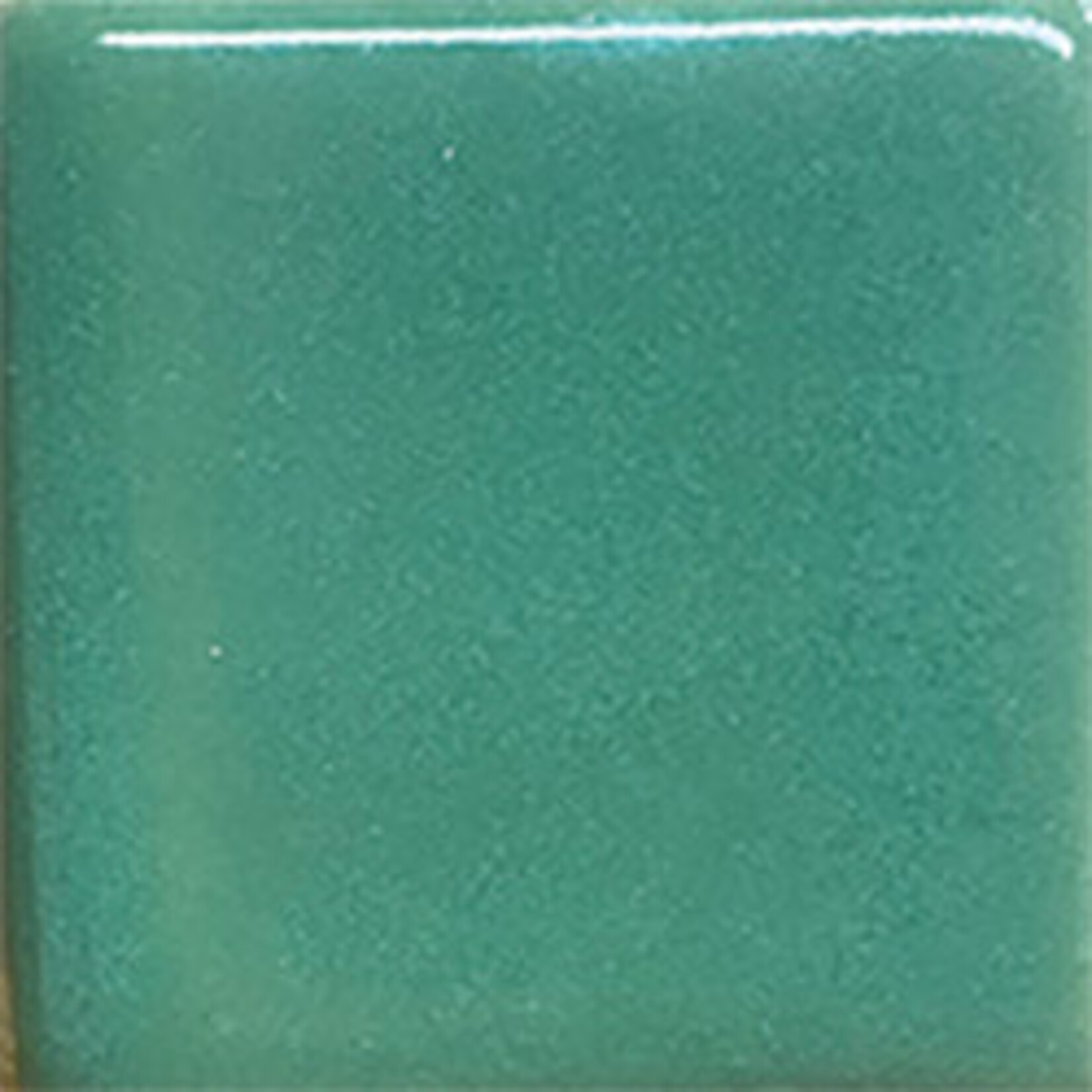Coyote Clay & Color COYOTE MBG-143 FERN