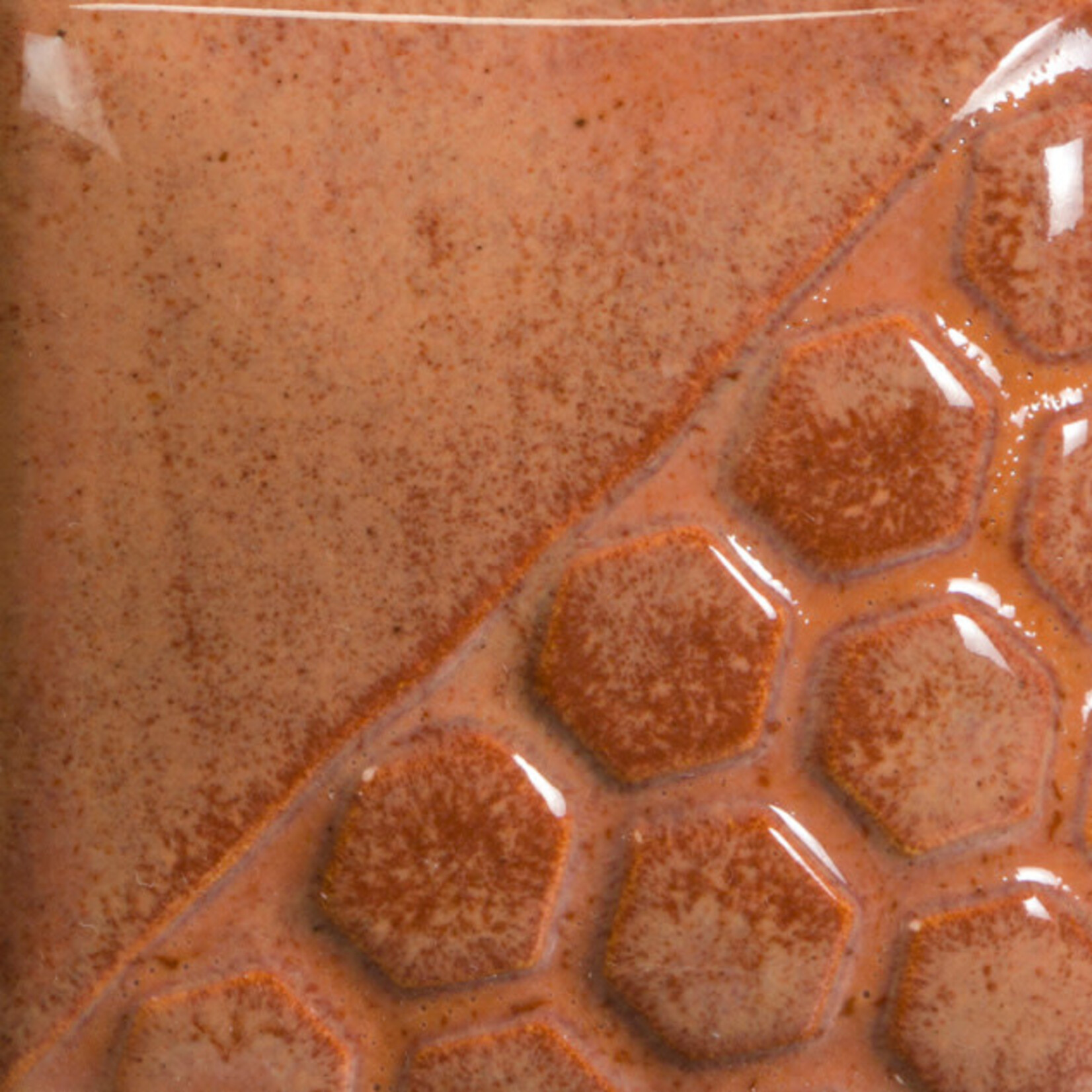 COLORAMICS, LLC MAYCO EL-143  CACTUS FLOWER