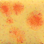 COLORAMICS, LLC S-2729 CITRUS SPLASH