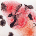 COLORAMICS, LLC S-2727 POPPY FIELDS