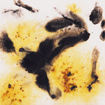 COLORAMICS, LLC S-2726 CHEETAH