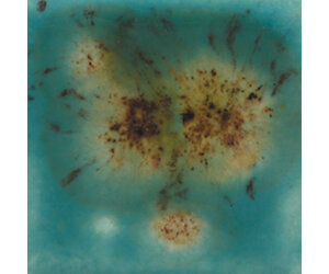 MAYCO S-2724 LOTUS BLOSSOM PT - Queen City Clay