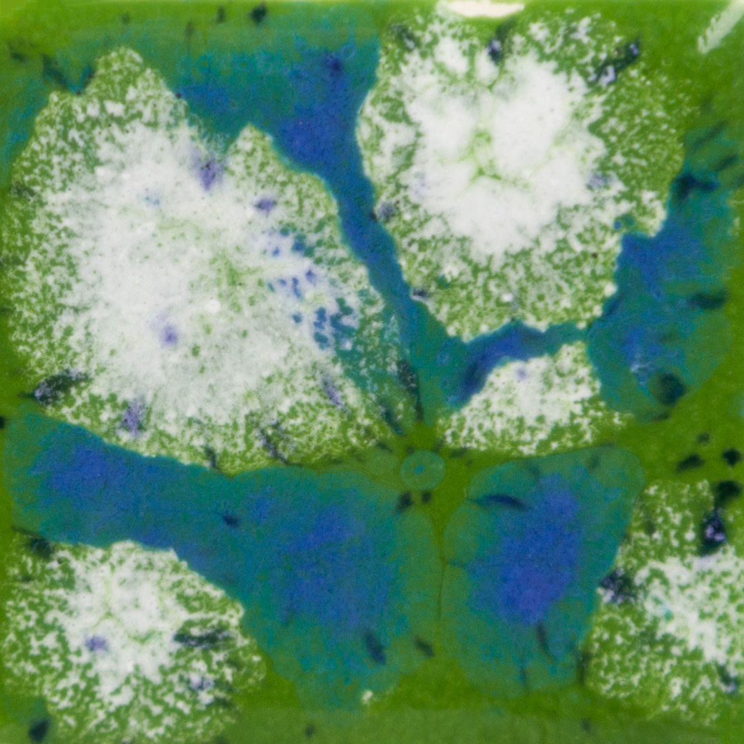 moco❤︎moco Amazon.com: Moco Moco Friends - Nintendo 3DS (Renewed