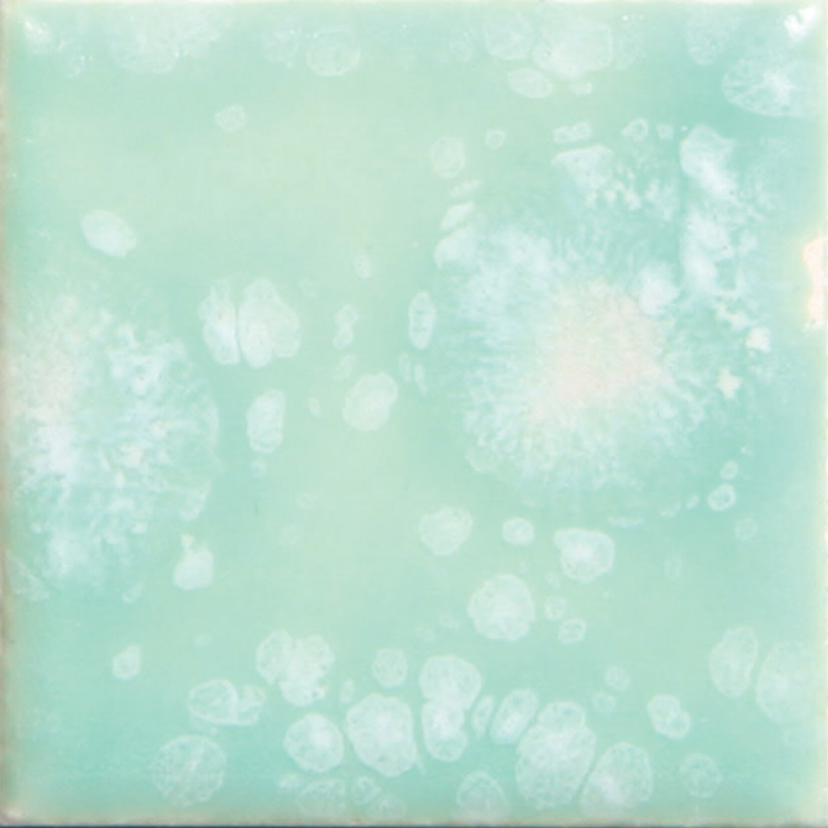 COLORAMICS, LLC MAYCO CG-997 SEAFOAM