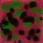 COLORAMICS, LLC CG-1005 MAROON LAGOON