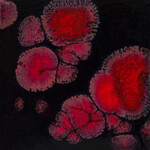 COLORAMICS, LLC CG-779 BLACK OPAL