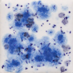 COLORAMICS, LLC S-2701 PEACOCK EYES