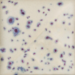 COLORAMICS, LLC SW-153 INDIGO RAIN