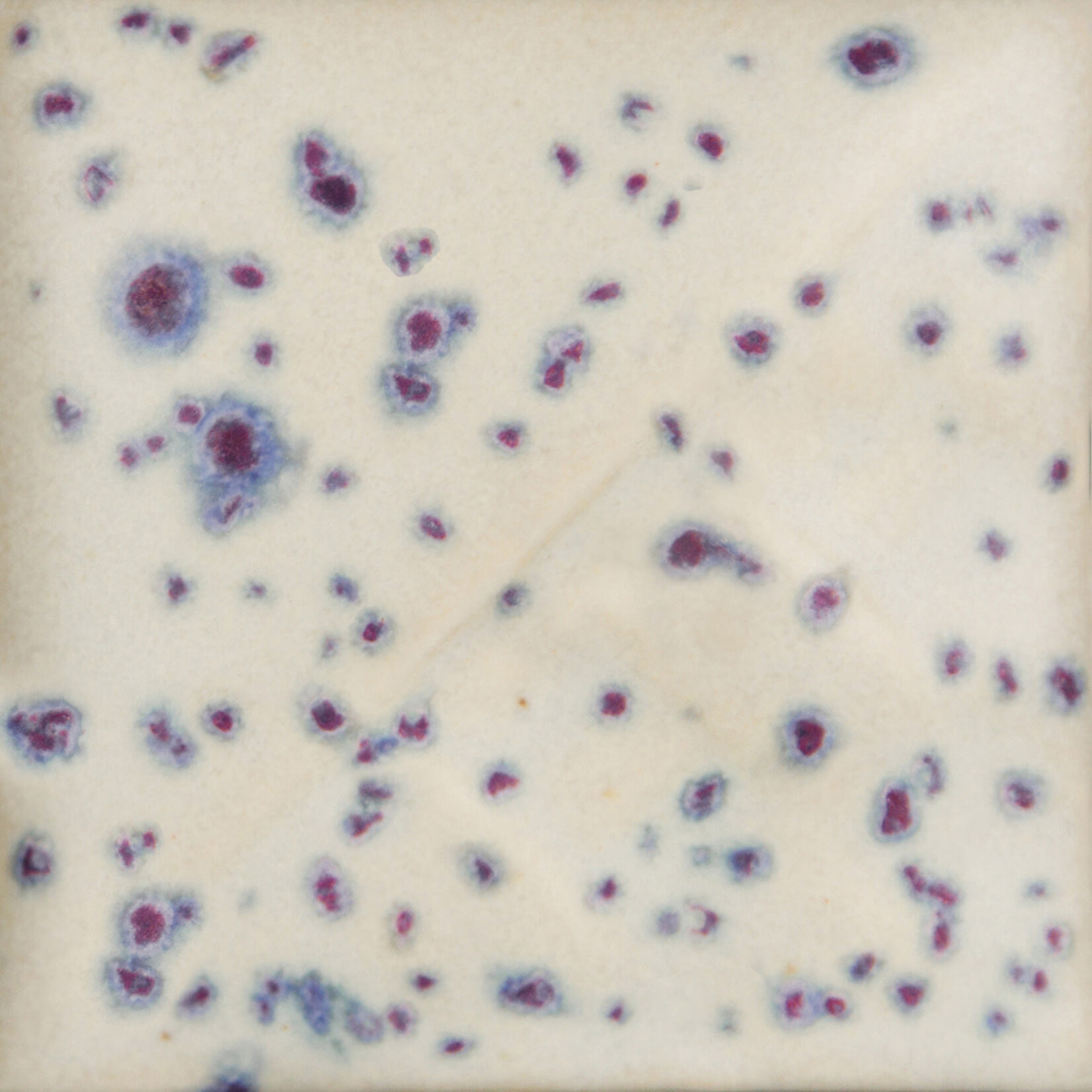 COLORAMICS, LLC MAYCO SW-153 INDIGO RAIN