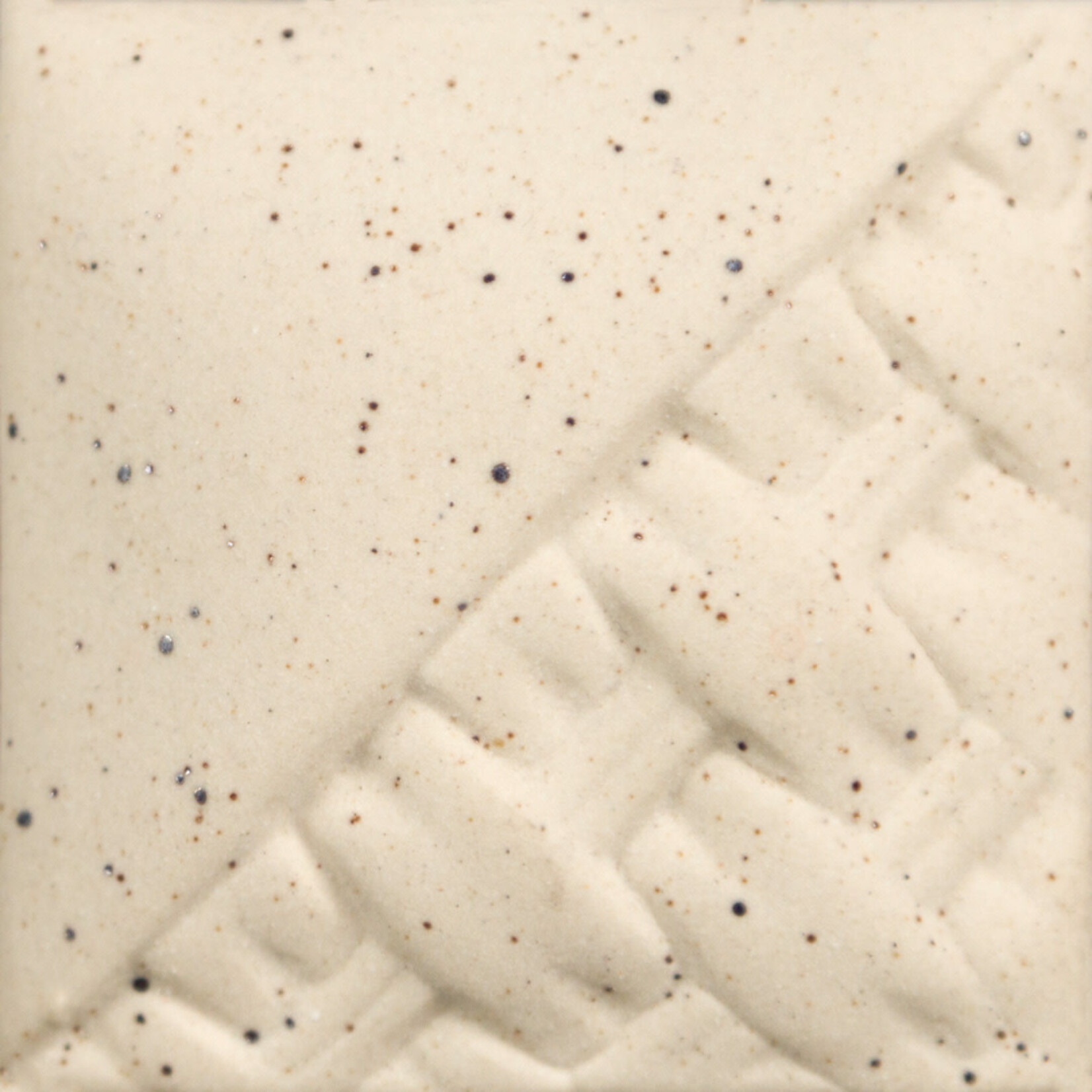 COLORAMICS, LLC MAYCO EG002 SPECKLED BUFF ENGOBE
