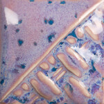 COLORAMICS, LLC SW-199 PURPLE ASTER