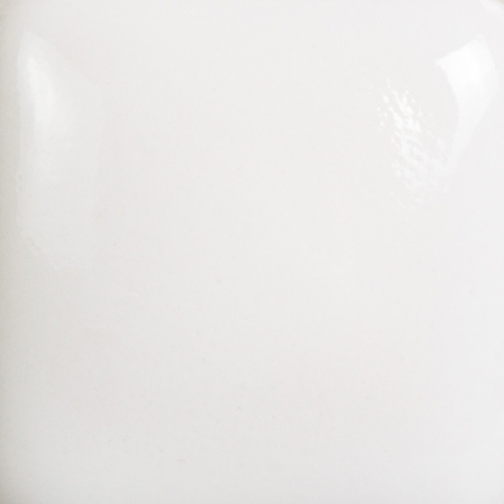 COLORAMICS, LLC MAYCO FN-001 WHITE