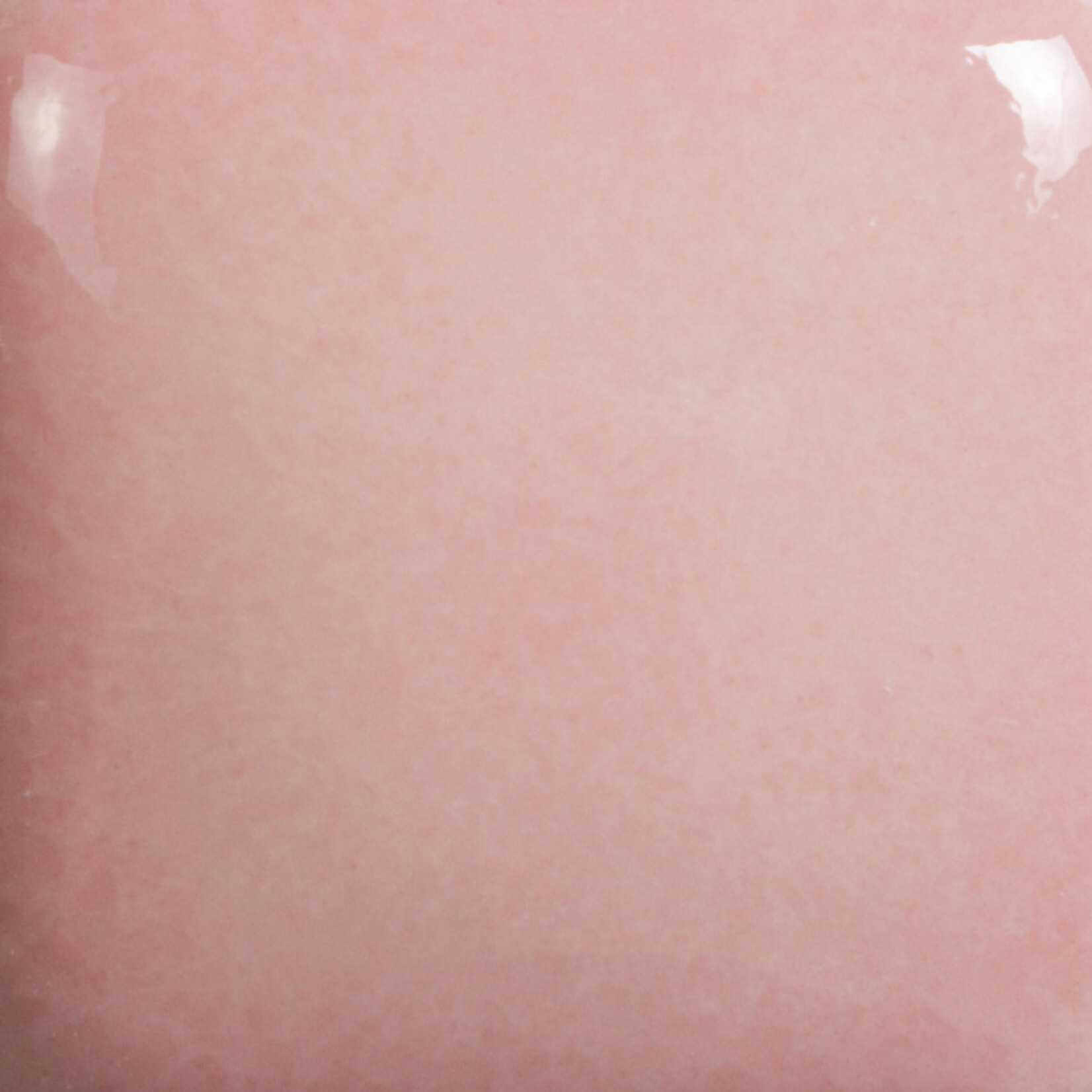 COLORAMICS, LLC MAYCO FN-005 PINK