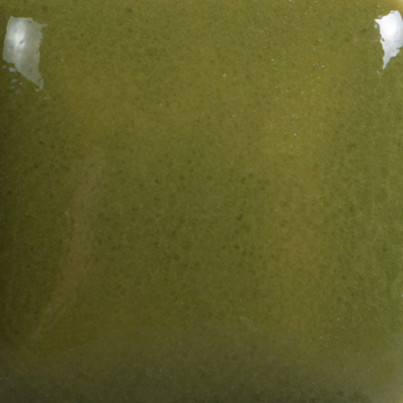 COLORAMICS, LLC MAYCO FN-021 OLIVE GREEN
