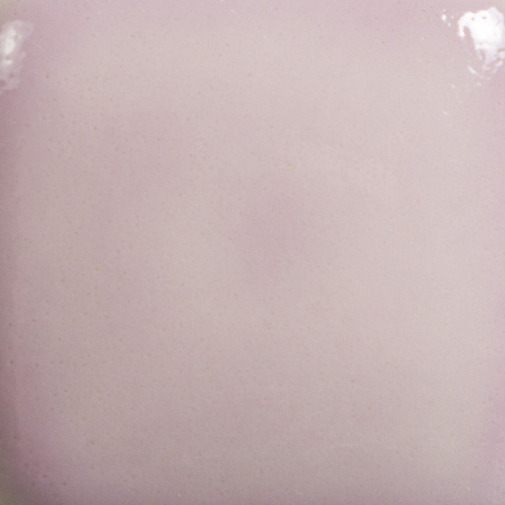 COLORAMICS, LLC MAYCO FN-025 RASPBERRY WHIP