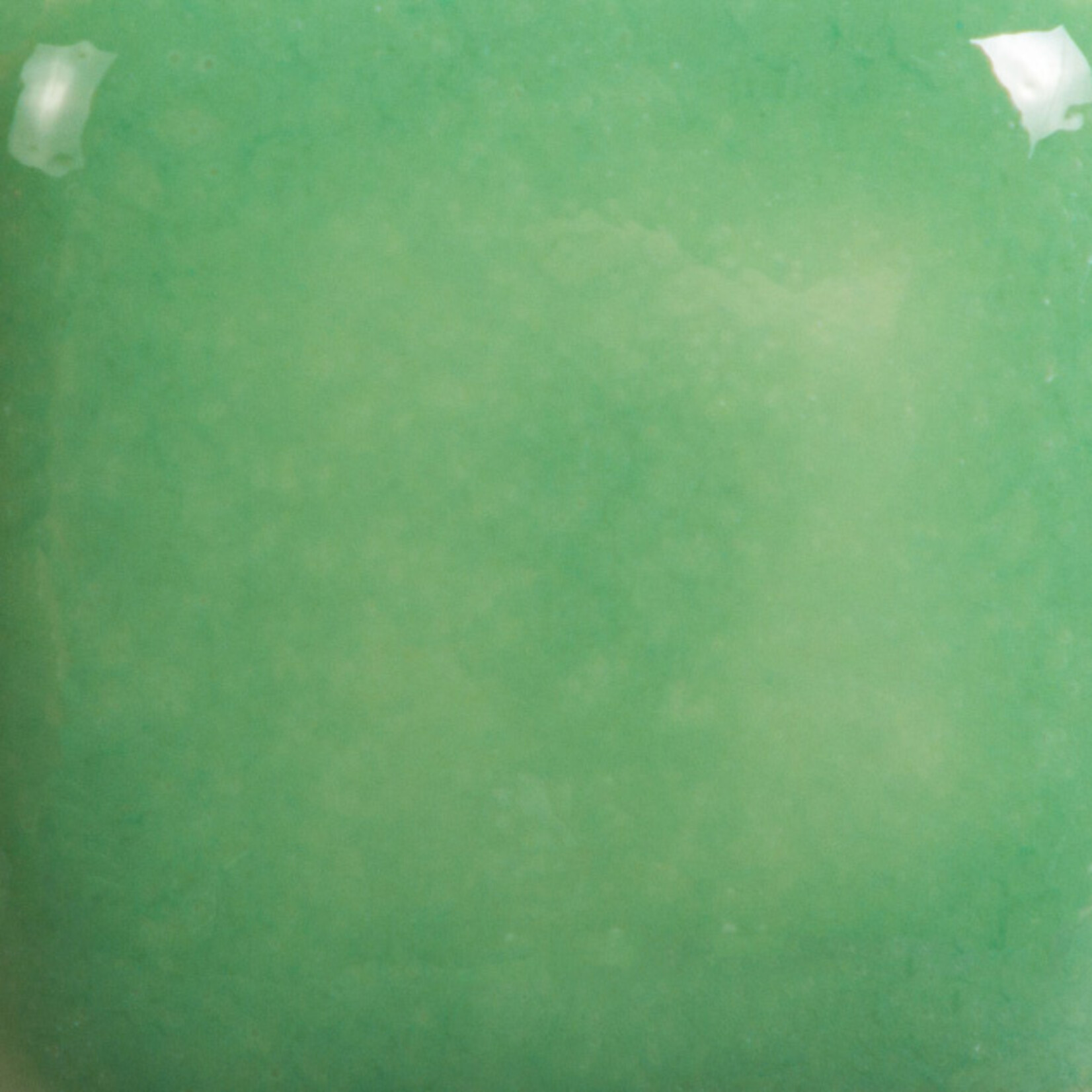 COLORAMICS, LLC MAYCO FN-027 GLADE GREEN