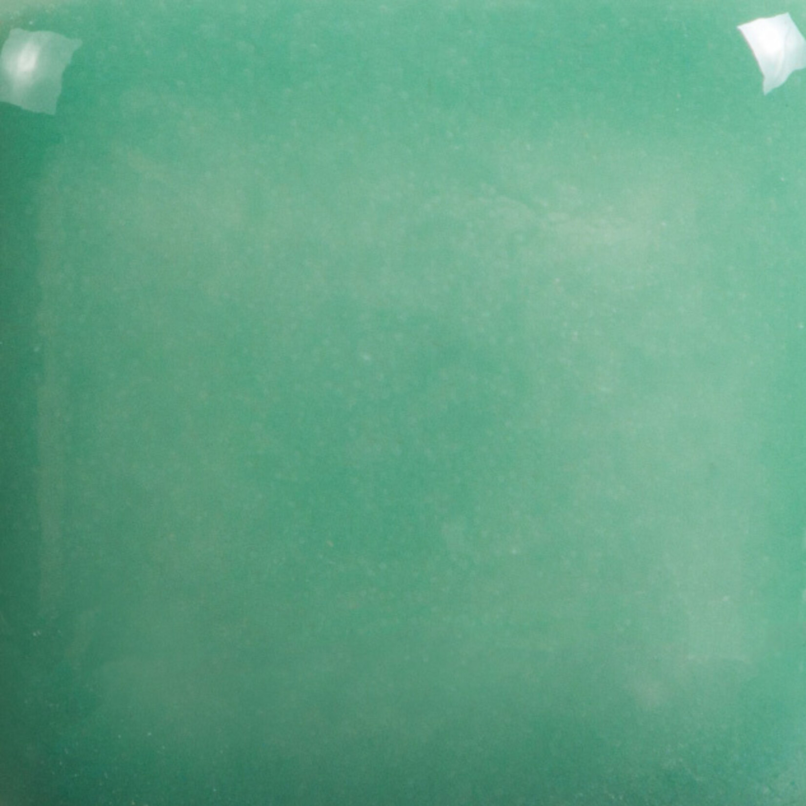 COLORAMICS, LLC MAYCO FN-043 BRIGHT JADE