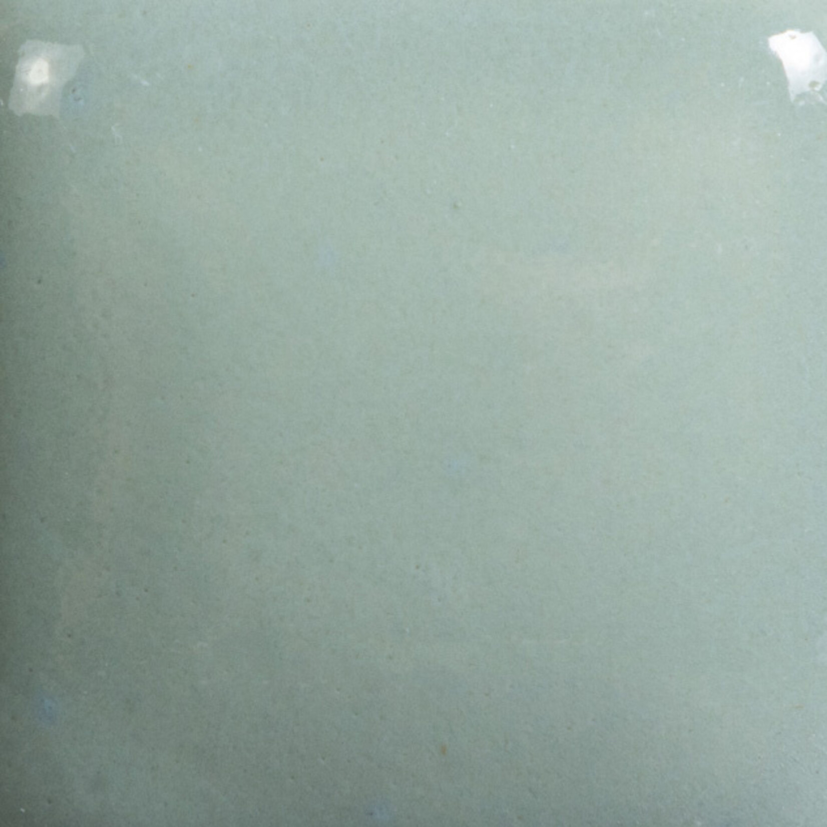 COLORAMICS, LLC MAYCO FN-046 SAGE