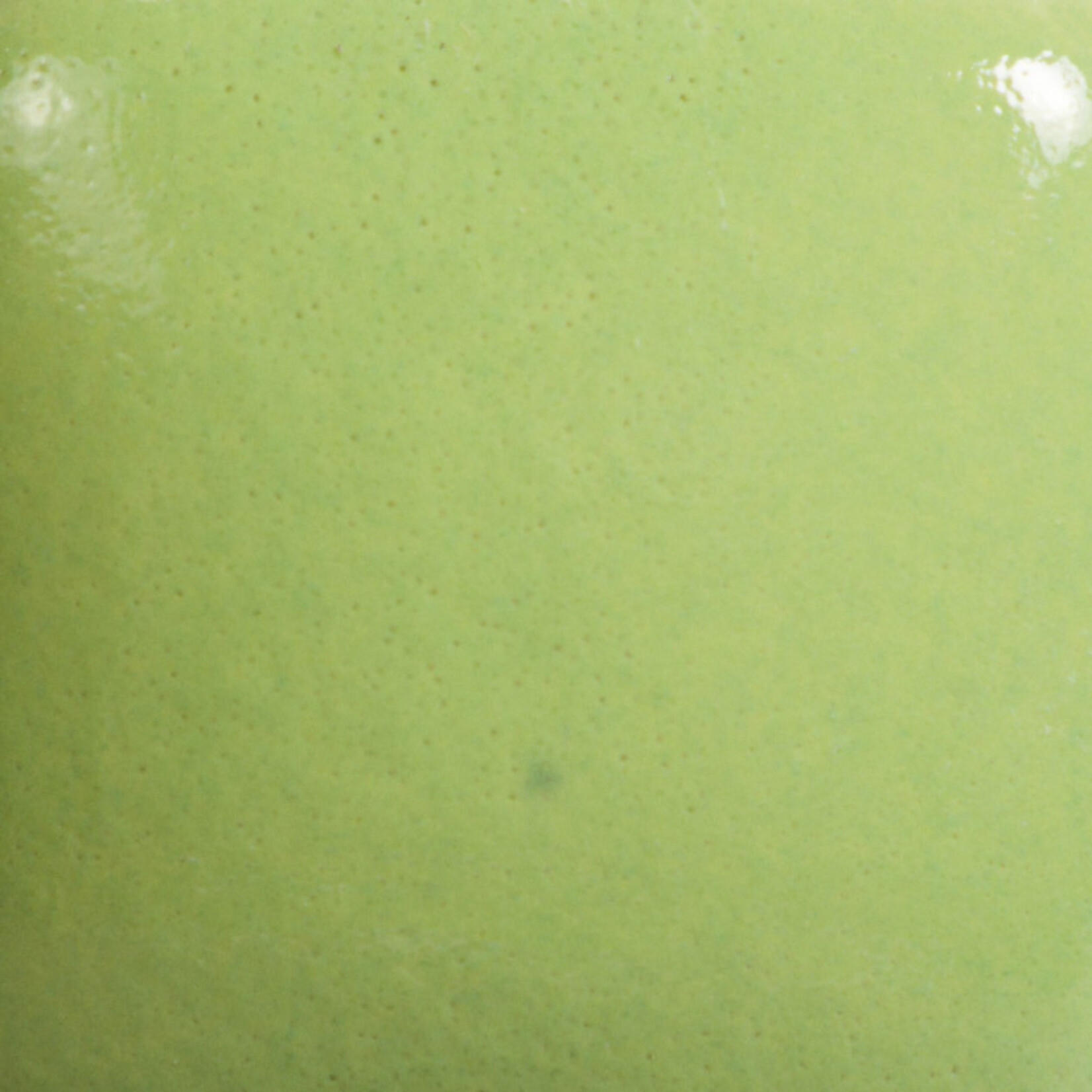 COLORAMICS, LLC MAYCO FN-054 PISTACHIO