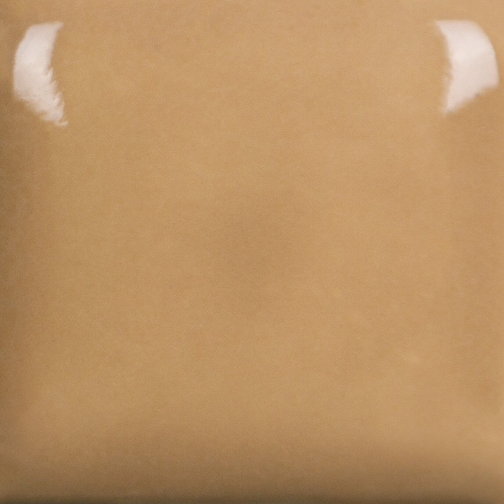 COLORAMICS, LLC MAYCO FN-060 MUSHROOM
