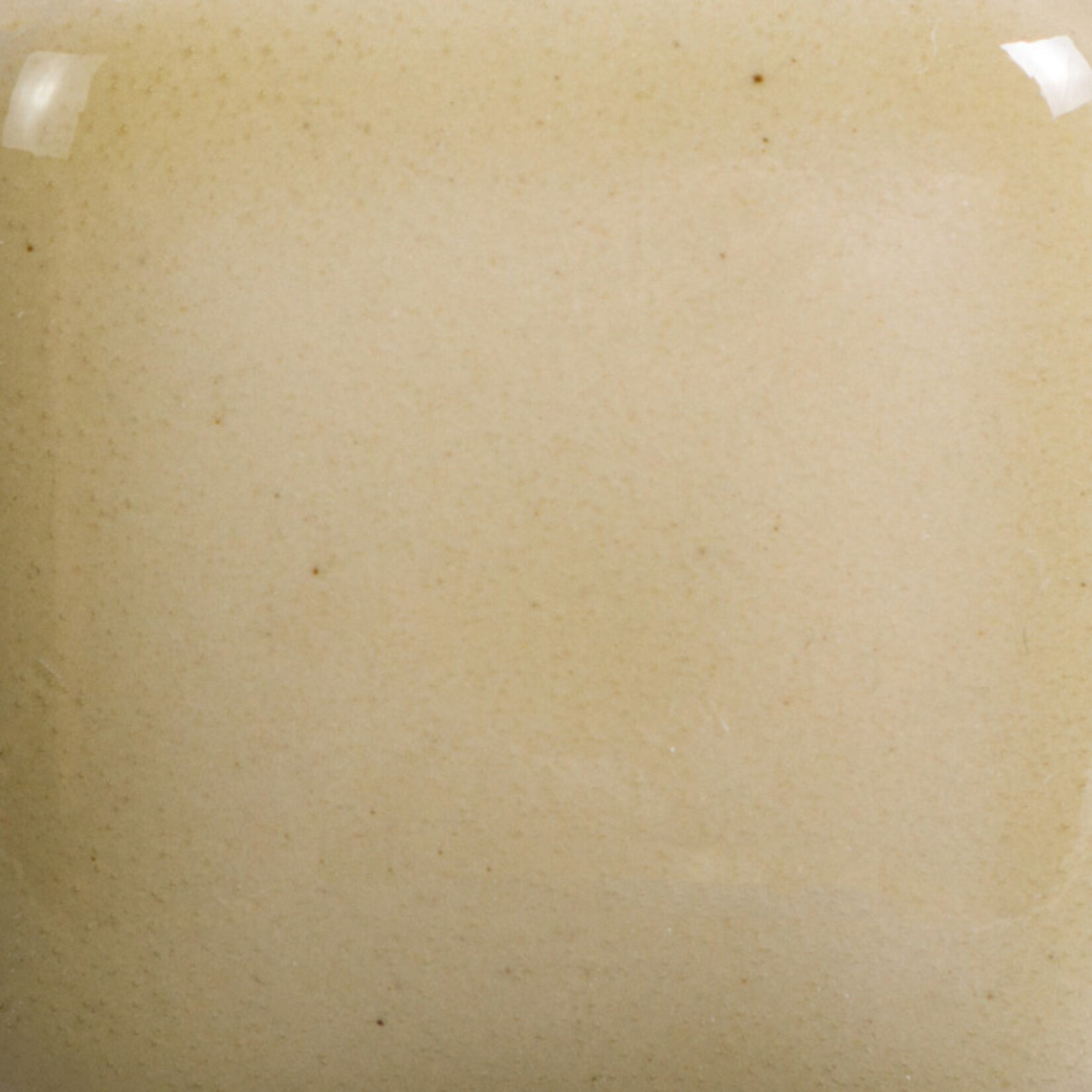 COLORAMICS, LLC MAYCO FN-204 MUDPUDDLE BROWN