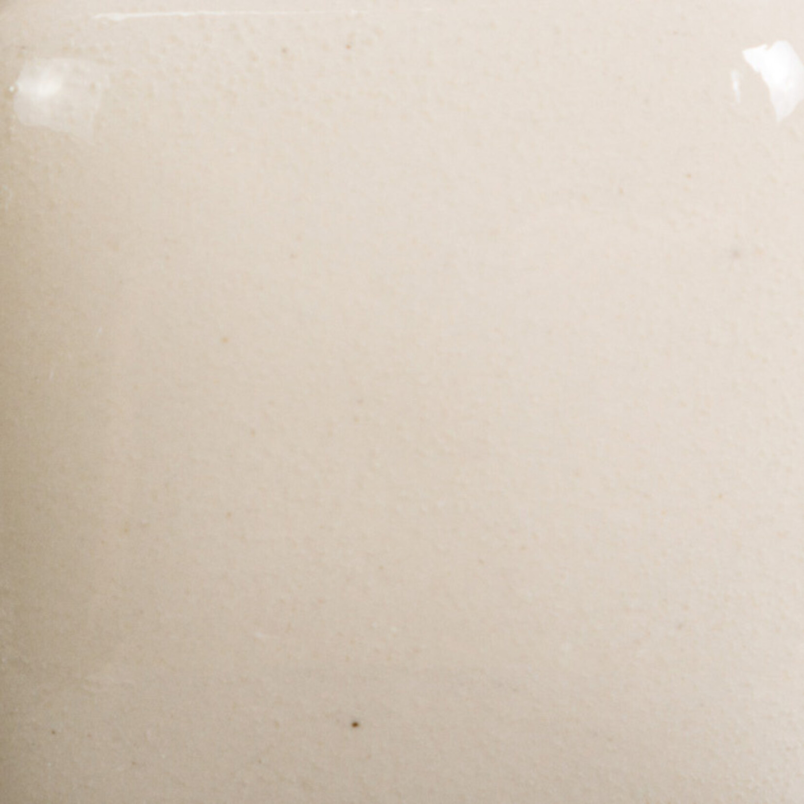 COLORAMICS, LLC MAYCO FN-208 CRYSTAL CORAL