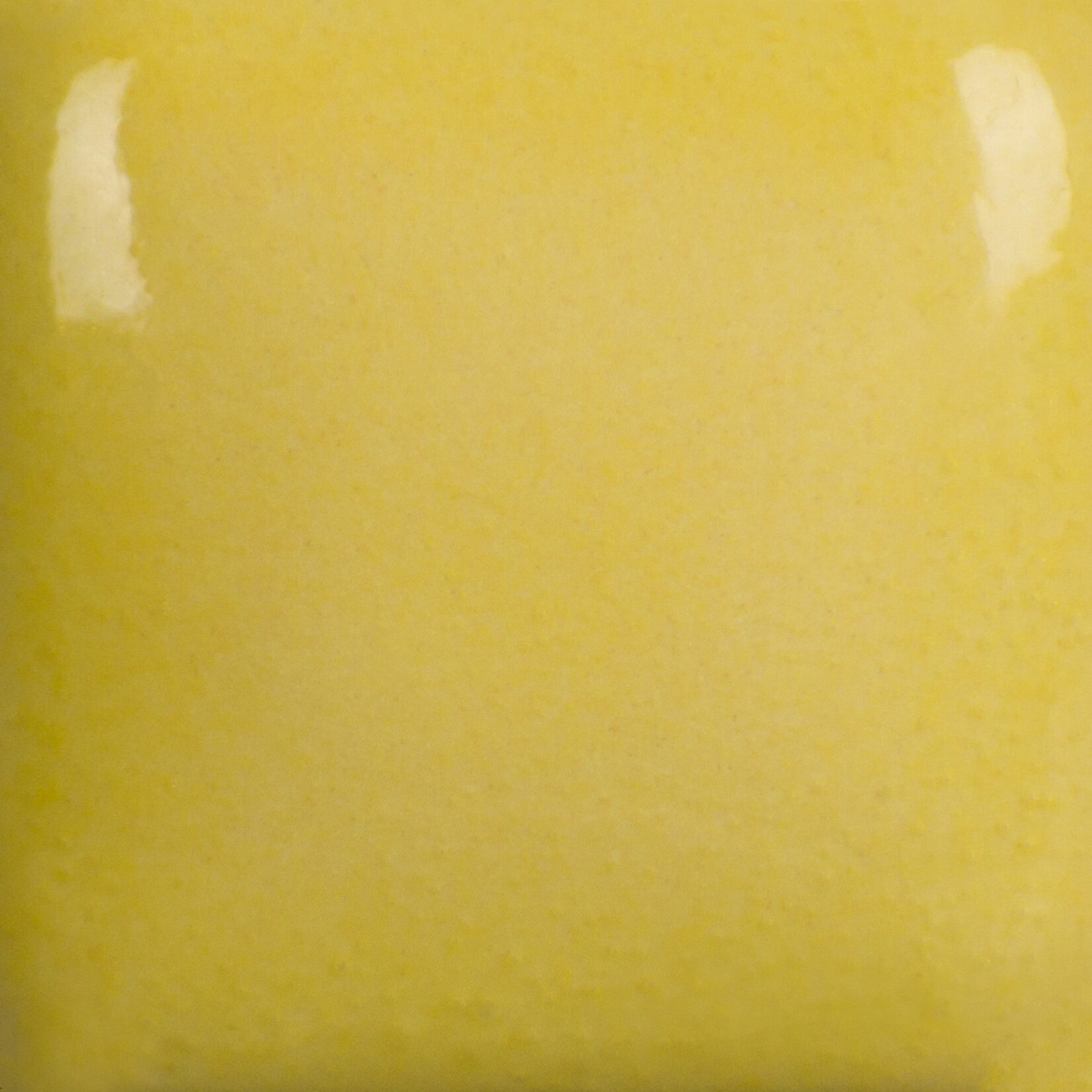 COLORAMICS, LLC MAYCO FN-232 SUN YELLOW