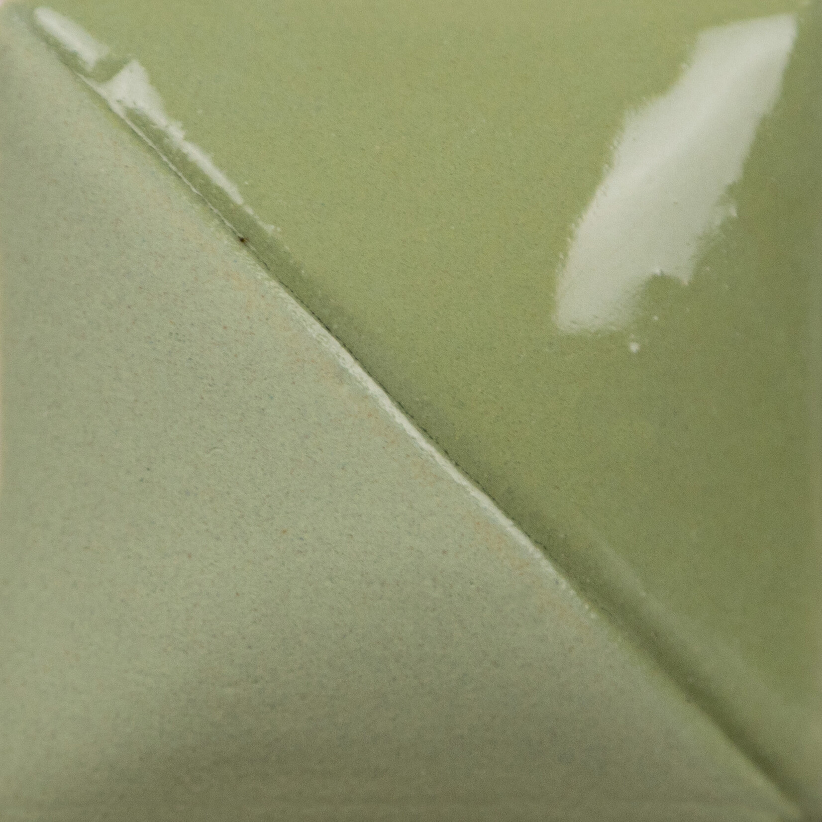 COLORAMICS, LLC MAYCO UG-220 SAGE UNDERGLAZE