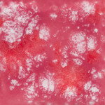 COLORAMICS, LLC CG-968 PEPPERMINT TWIST