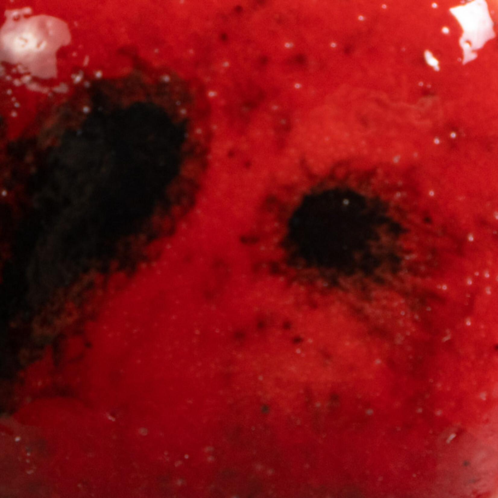 COLORAMICS, LLC MAYCO CG-984 LADYBUG
