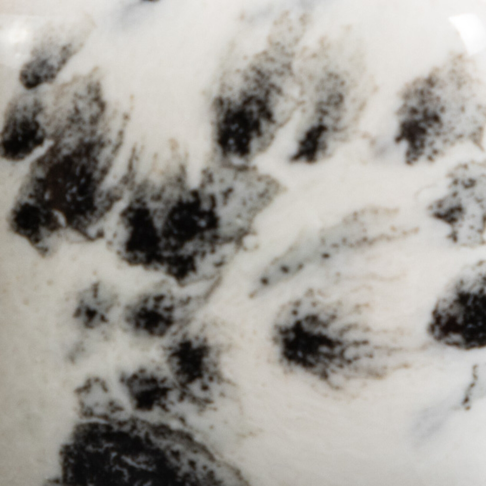 COLORAMICS, LLC MAYCO CG-977 INK SPOTS