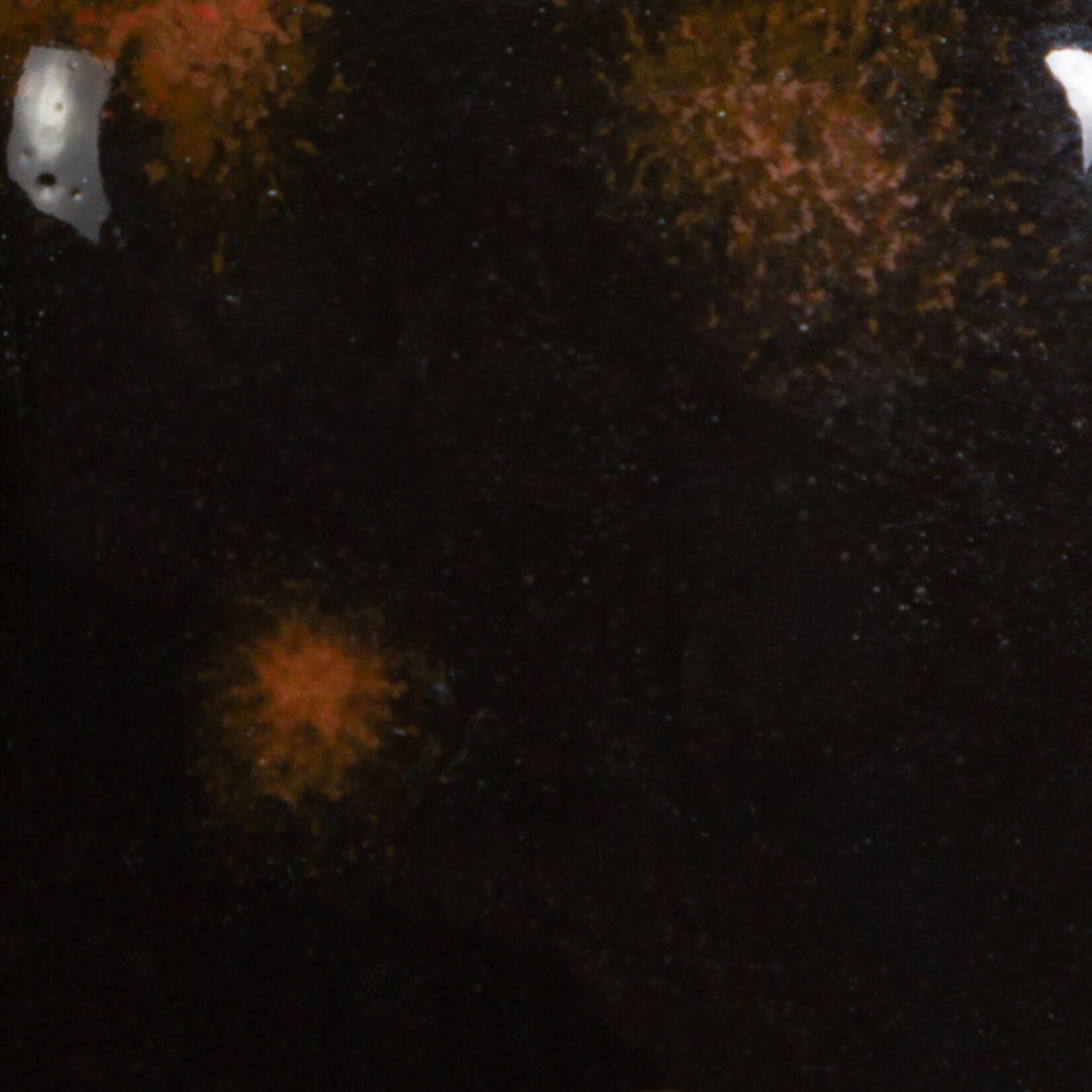 COLORAMICS, LLC MAYCO CG-779 BLACK OPAL PT