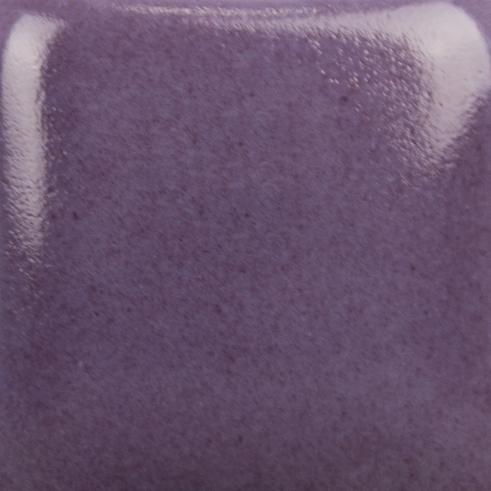 COLORAMICS, LLC MAYCO SC-40 BLUEBERRY HILL